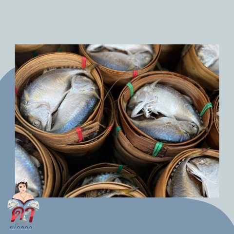 ปลาทูแม่กลอง ปลาทูแพ็กถาดโฟม